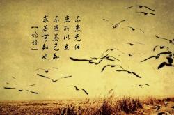 开云体育APP下载-蓝黄风暴席卷A组，卢卡库三射一传，哥伦比亚大破印度书写2026世界杯首轮最震撼剧本