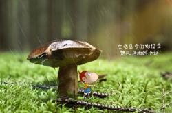开云体育平台APP-红绿狂想曲，当C罗的绝唱撞上卢卡库的铁蹄—2026世界杯E组降维打击背后的战术启示录