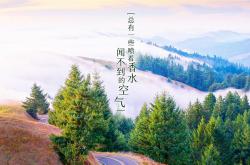 开云体育app-唯一的剧本，2026世界杯A组，印度风暴击穿哥伦比亚，久保建英的孤勇者宣言