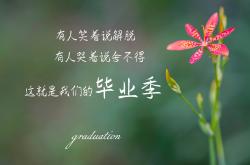 开云sport-绝境之下的钢铁意志，喀麦隆逆转伊朗，卢卡库致命一击彰显唯一法则