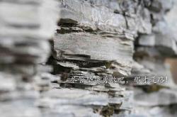 开云体育APP下载-诸神黄昏的序章，当哈兰德撕裂钢铁战车，2026世界杯F组的王座已悄然易主