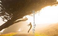 开云体育登录-黄沙与海风的终极碰撞，费利克斯一剑封喉，伊朗挺进2026世界杯的唯一时刻
