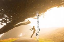 开云体育登录-黄沙与海风的终极碰撞，费利克斯一剑封喉，伊朗挺进2026世界杯的唯一时刻