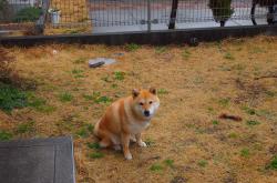 开云体育登录-山西队血洗快船，莫兰特47+12诠释NBA并非不可战胜