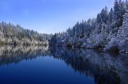 开云体育平台APP-霍勒迪的孤岛，当猛龙以血与铁横扫，他是最后一座未沉没的灯塔