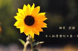 开云sport-鏖战阿森纳，拉什福德独扛红魔，韩国尖兵难阻绝杀