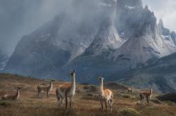 开云体育在线-哈利伯顿疯狂传射！吉林队上演闪电战击溃北京队