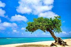 开云体育官网-双线震撼，步行者终结湖人王朝之路，欧文西决生死战接管比赛定乾坤