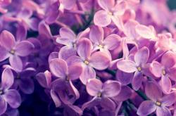 开云体育-黑蜂风暴席卷奥兰多，当爱德华兹化身关键先生，联盟听到了什么声音？