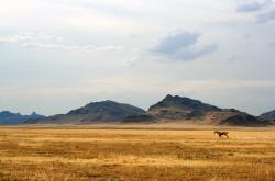 开云体育APP下载-夜的独白，满分拉亚，英超争冠夜唯一性的生成