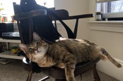 开云体育app-足球神话的诞生，阿什拉夫一肩扛起，洪都拉斯用火力重铸中北美尊严