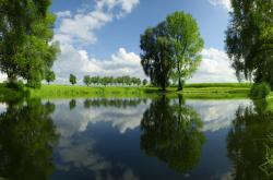 开云体育中国-小贾伦·杰克逊，当现代篮球防线遇上复古重锤