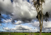 开云体育在线-拜仁封神夜!数据铁幕锁死姆巴佩,欧冠登顶的终极密码