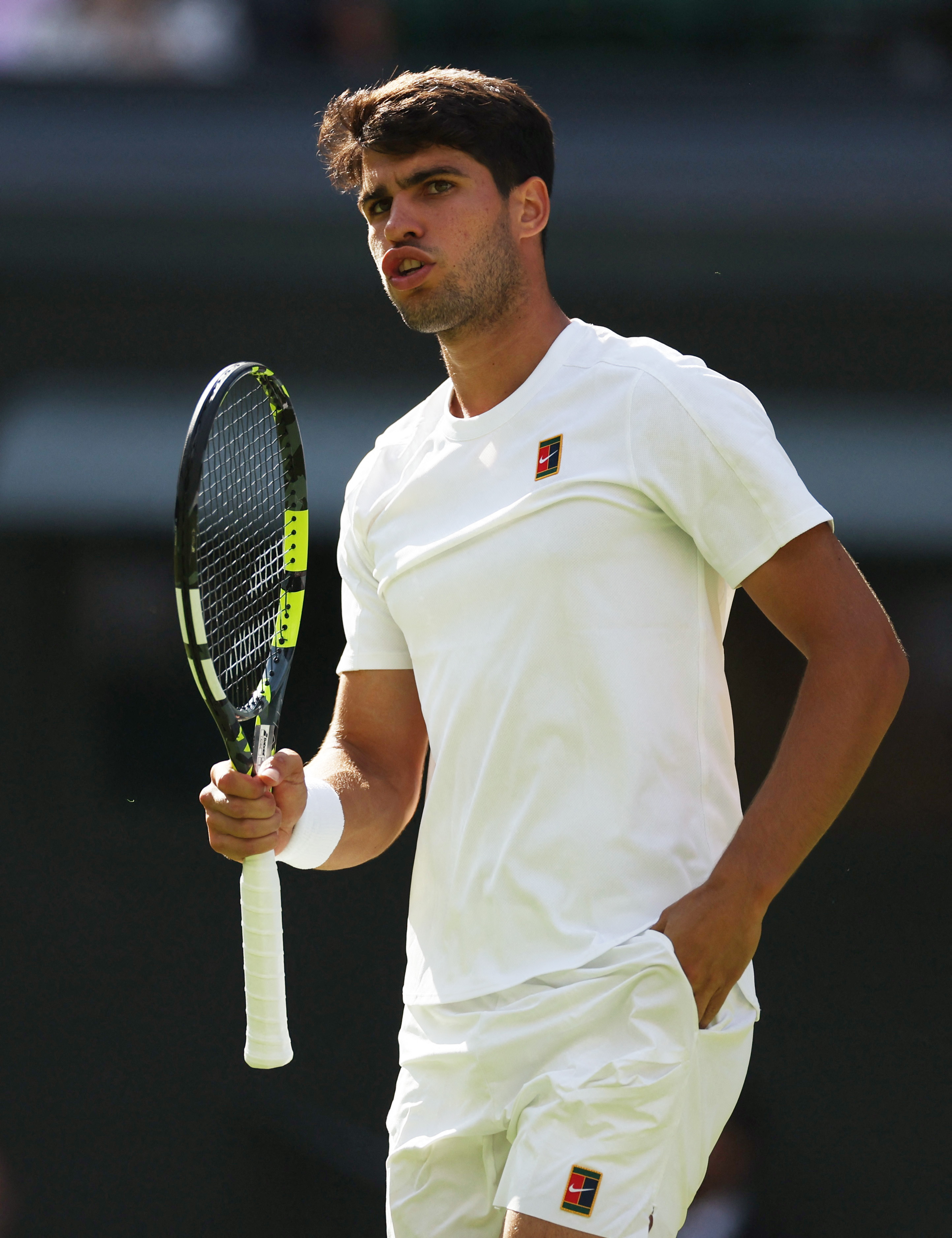 法国网球队爆冷世界网球队，阿尔卡拉斯三分雨点燃全场的简单介绍