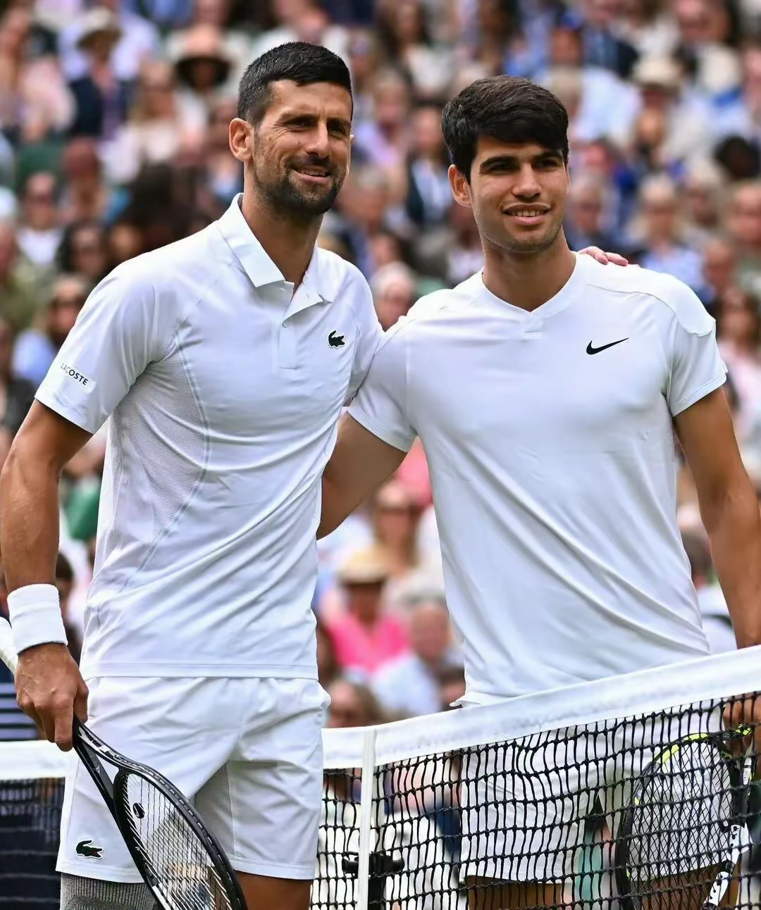 温网鏖战蒙特卡洛大师赛，德约科维奇扛起全队