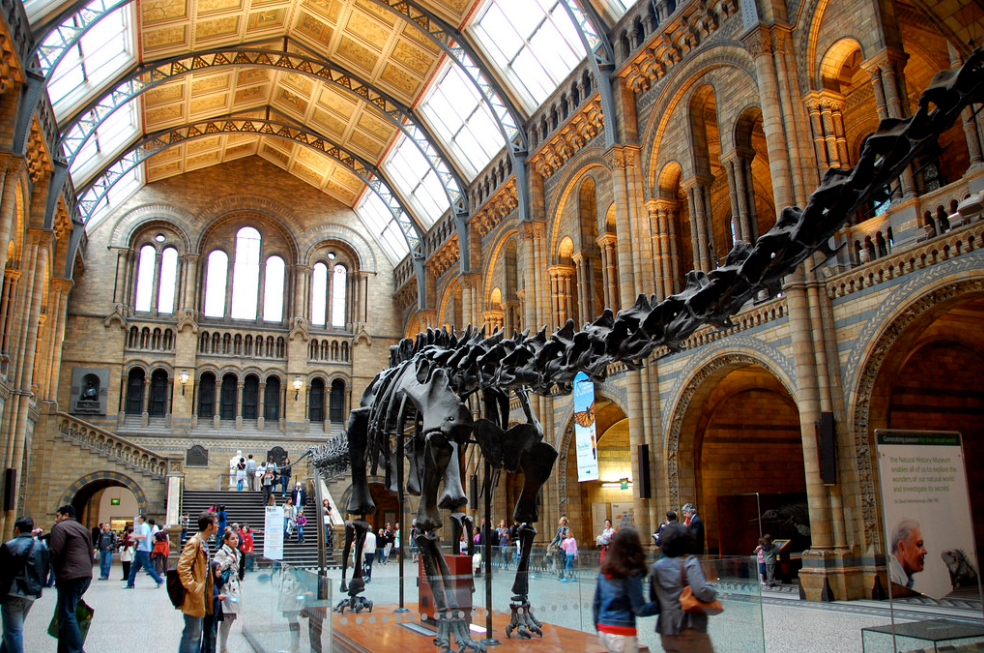 希腊逆转智利，哈弗茨带队取胜