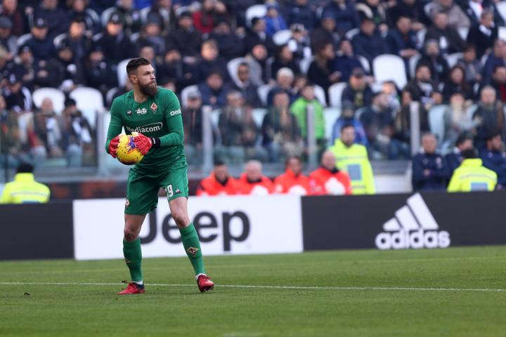 波兰队完胜瑞典队，奥恰洛夫惊艳四座