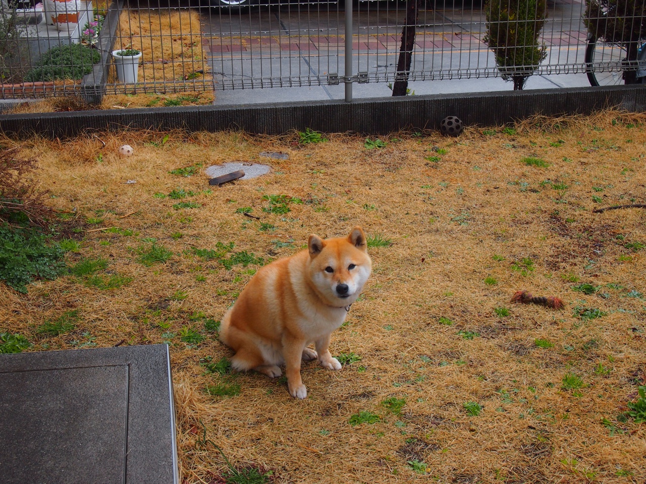 山西队血洗快船，莫兰特47+12诠释NBA并非不可战胜