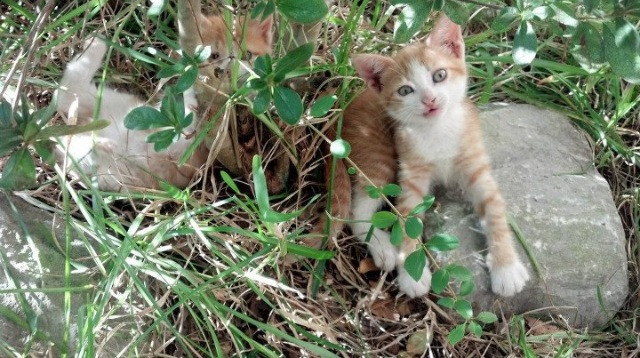 红土与火焰的界限，当法网暗影险胜温网光明，梅德韦杰夫统治一片矛盾的宇宙