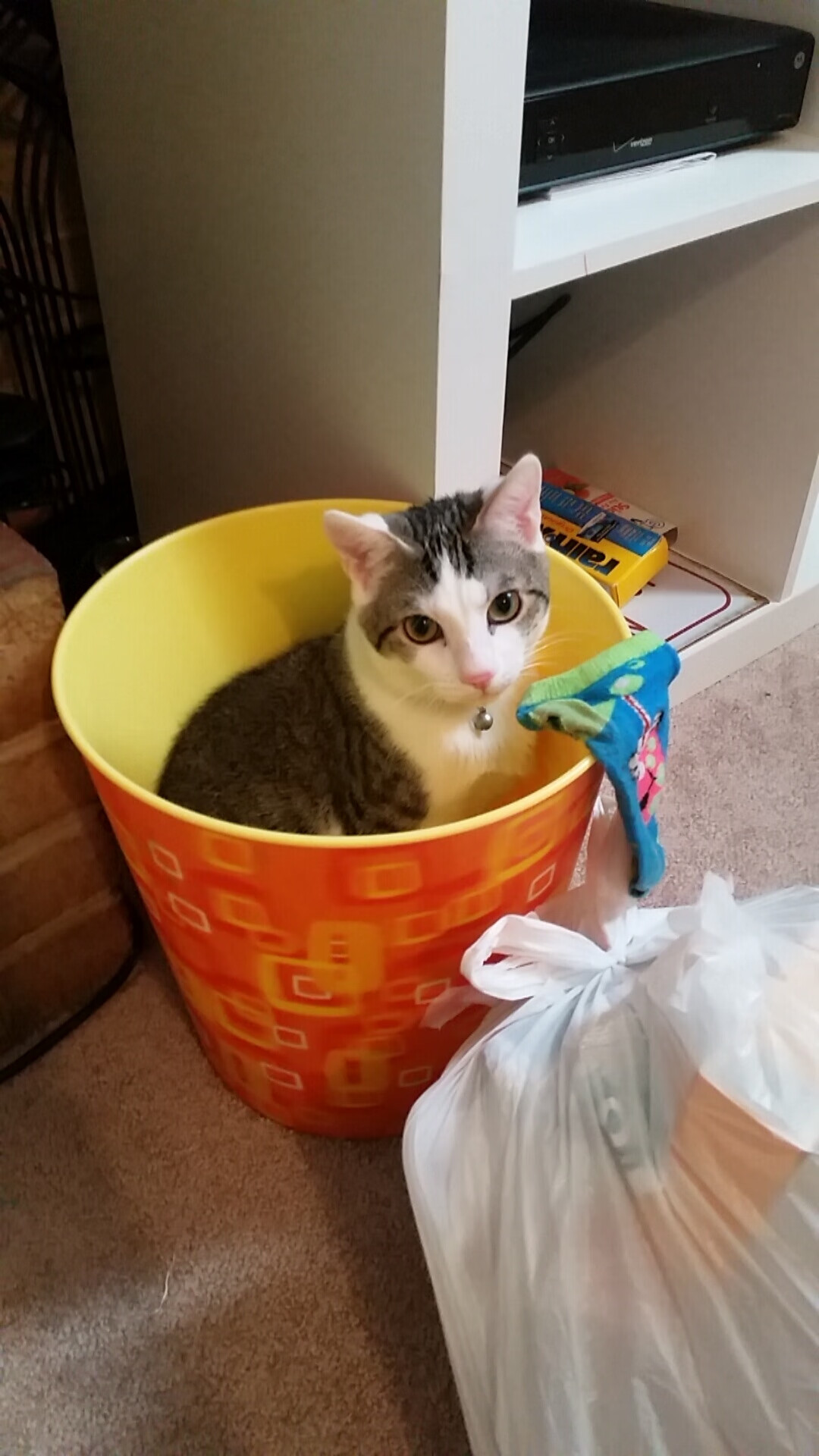 以索伯之名，刻写红牛之心