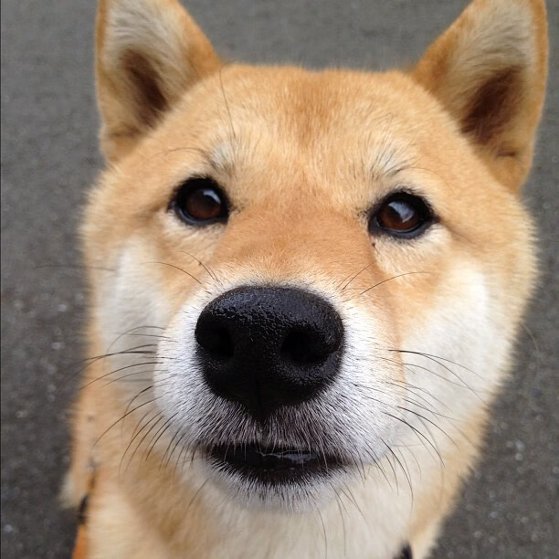 宇宙级终场哨，当尤文图斯在抢七终章修改了巴黎的星辰排列图