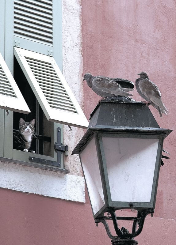 宇宙级终场哨，当尤文图斯在抢七终章修改了巴黎的星辰排列图