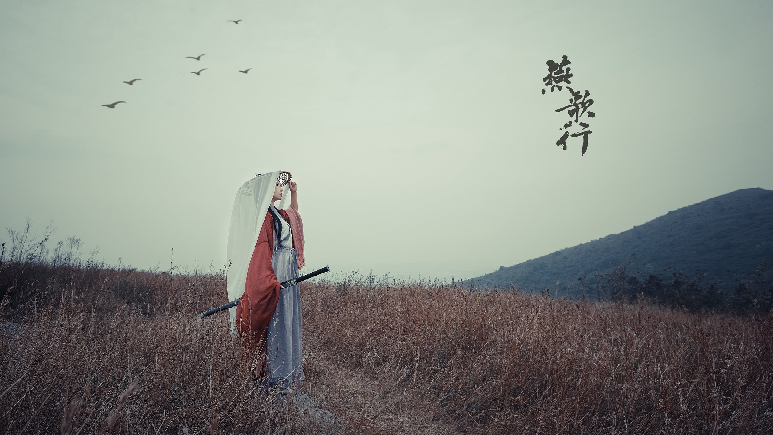 保罗导演速胜，勇士第三节风暴击溃步行者