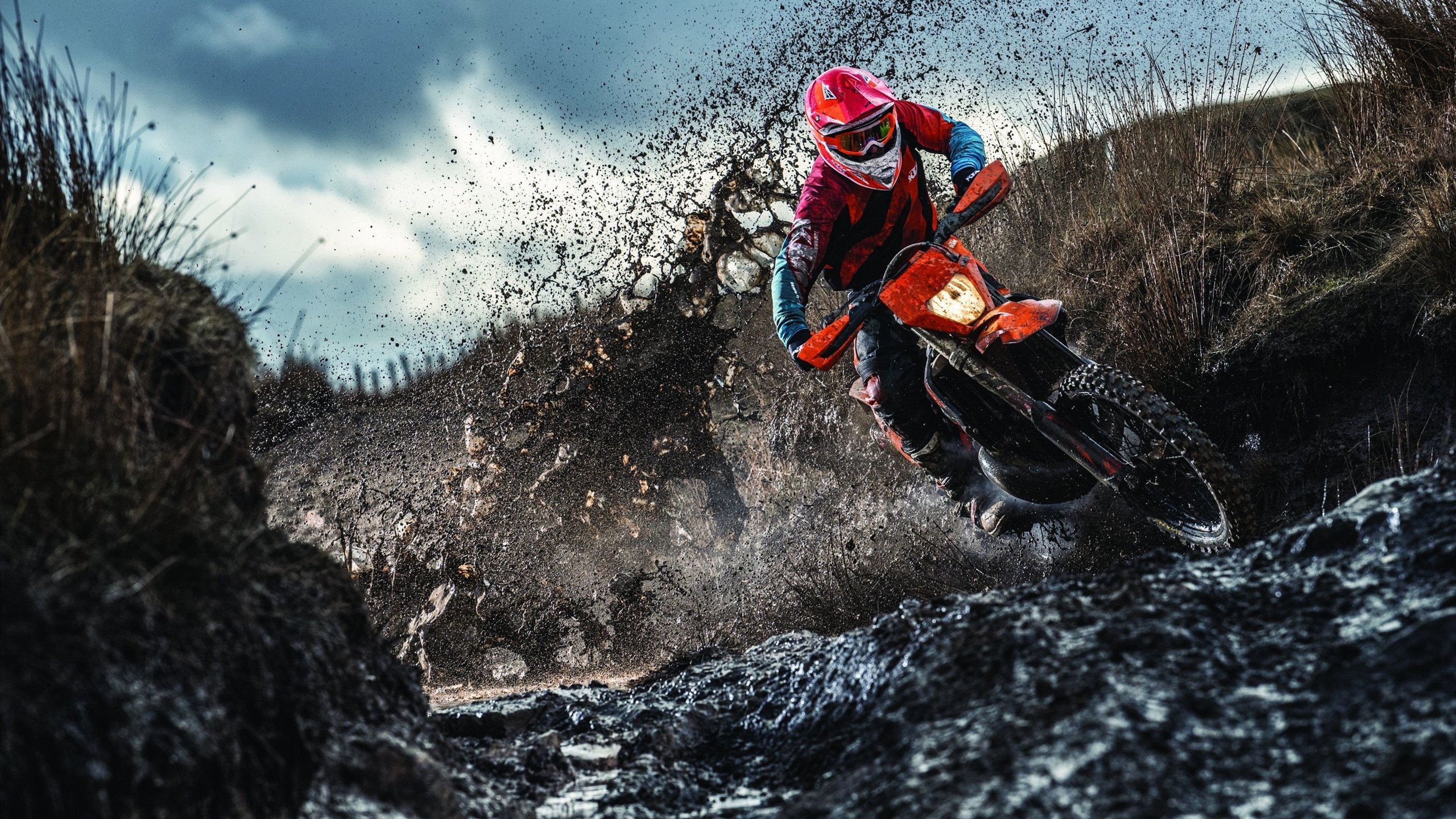 末节之王锡安嗜血觉醒，雄鹿闪电战碾碎国王—双子星隔空上演统治力对决