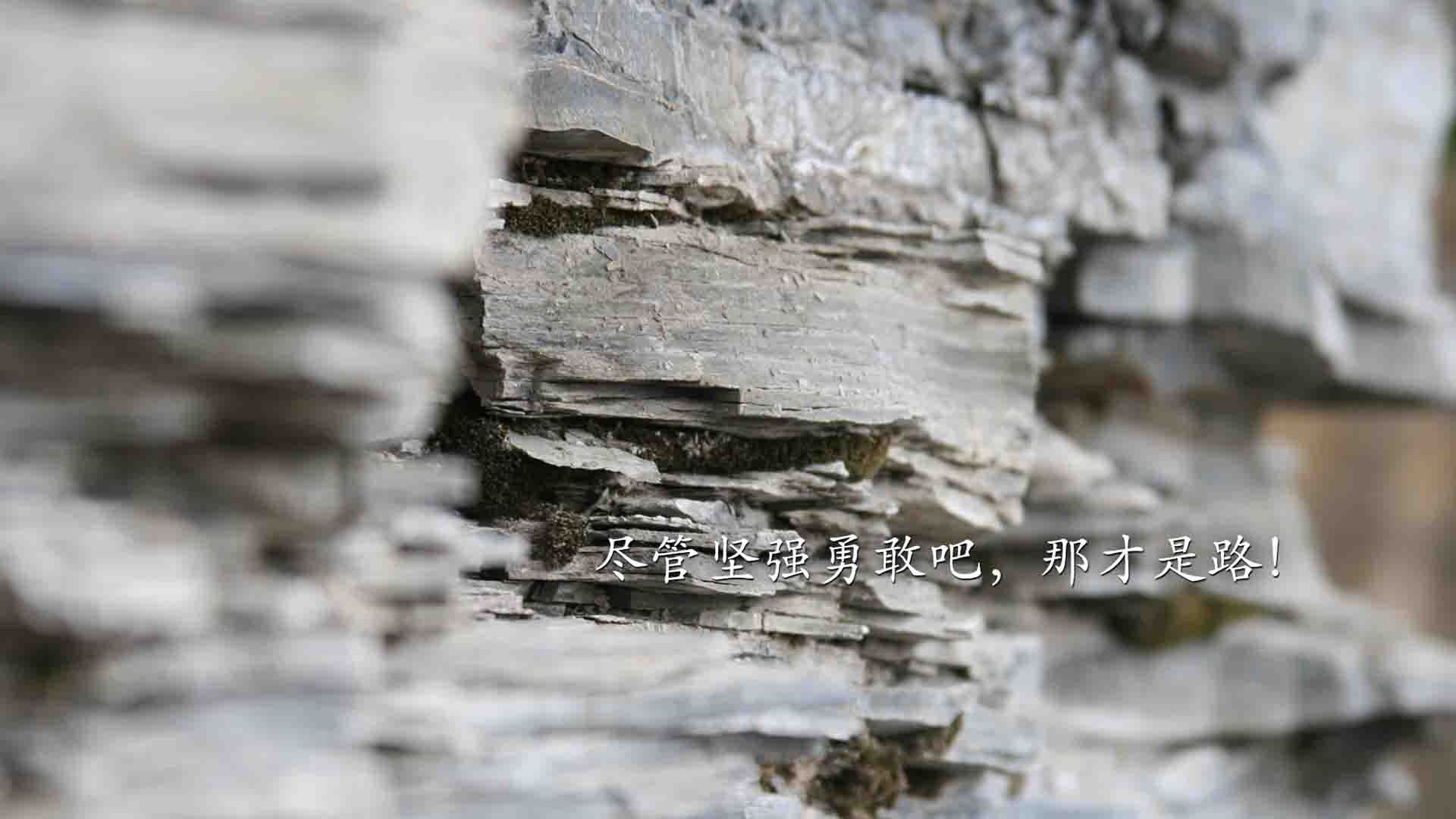 双子星觉醒与铁血逆袭，当格林爆裂得分撕裂夜空，绿衫军用团队篮球重写剧本