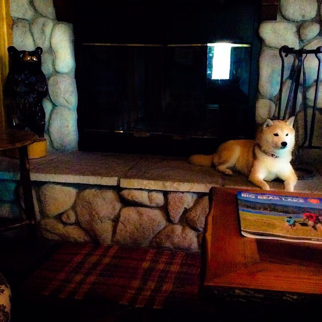 永恒之战与刹那英雄，浓眉终破心魔，一记绝杀定义年度焦点之夜