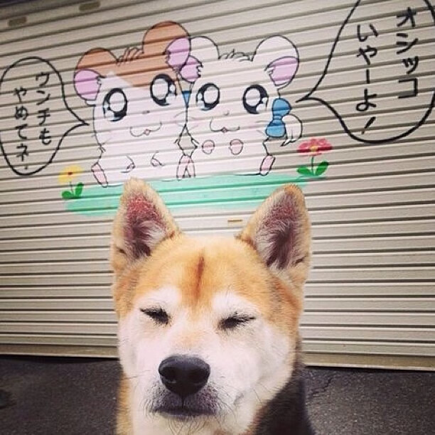 颠覆叙事，曼城节拍器在伯纳乌奏响的德比变奏曲