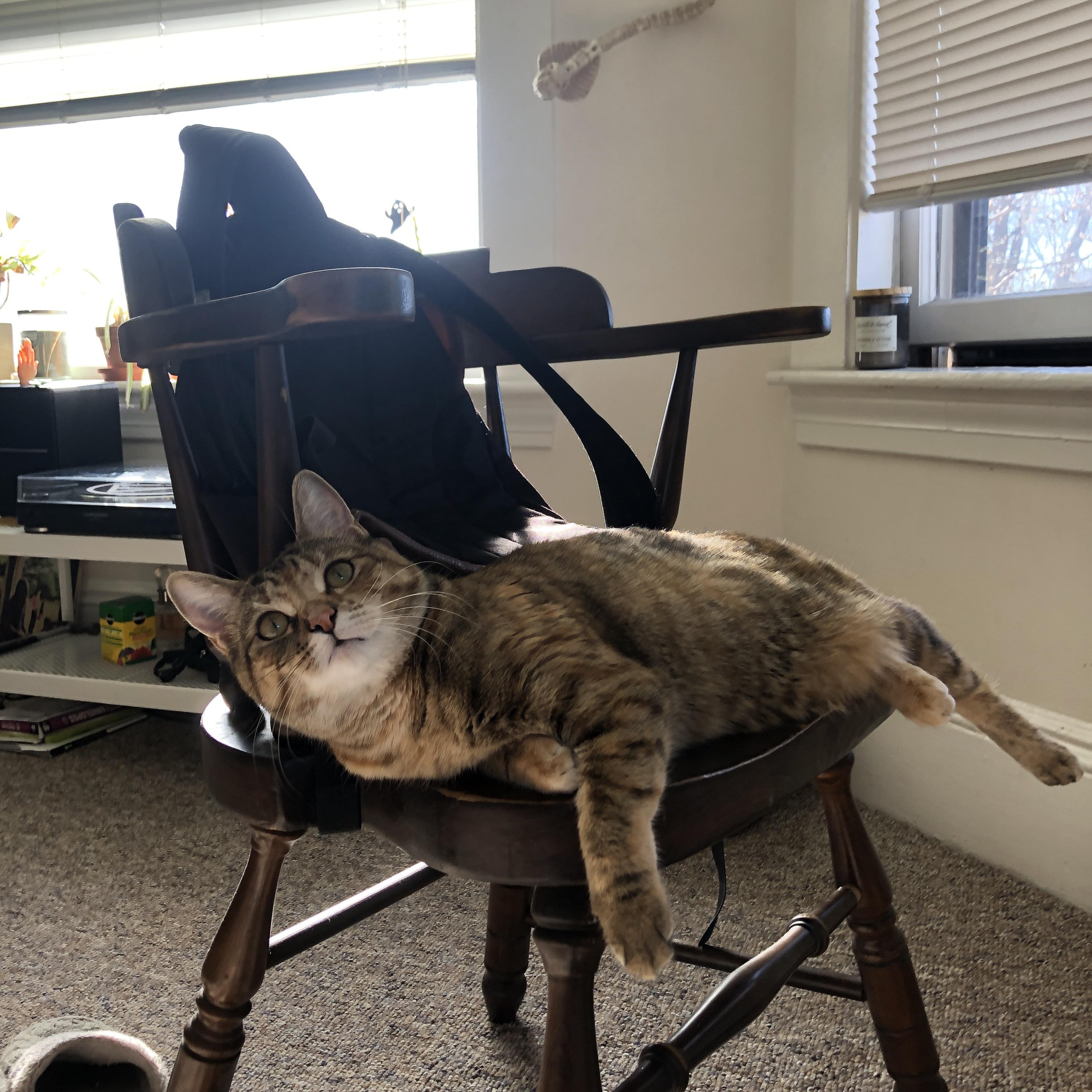 锡安关键先生显威，火箭队连续得分压制广东队获胜利