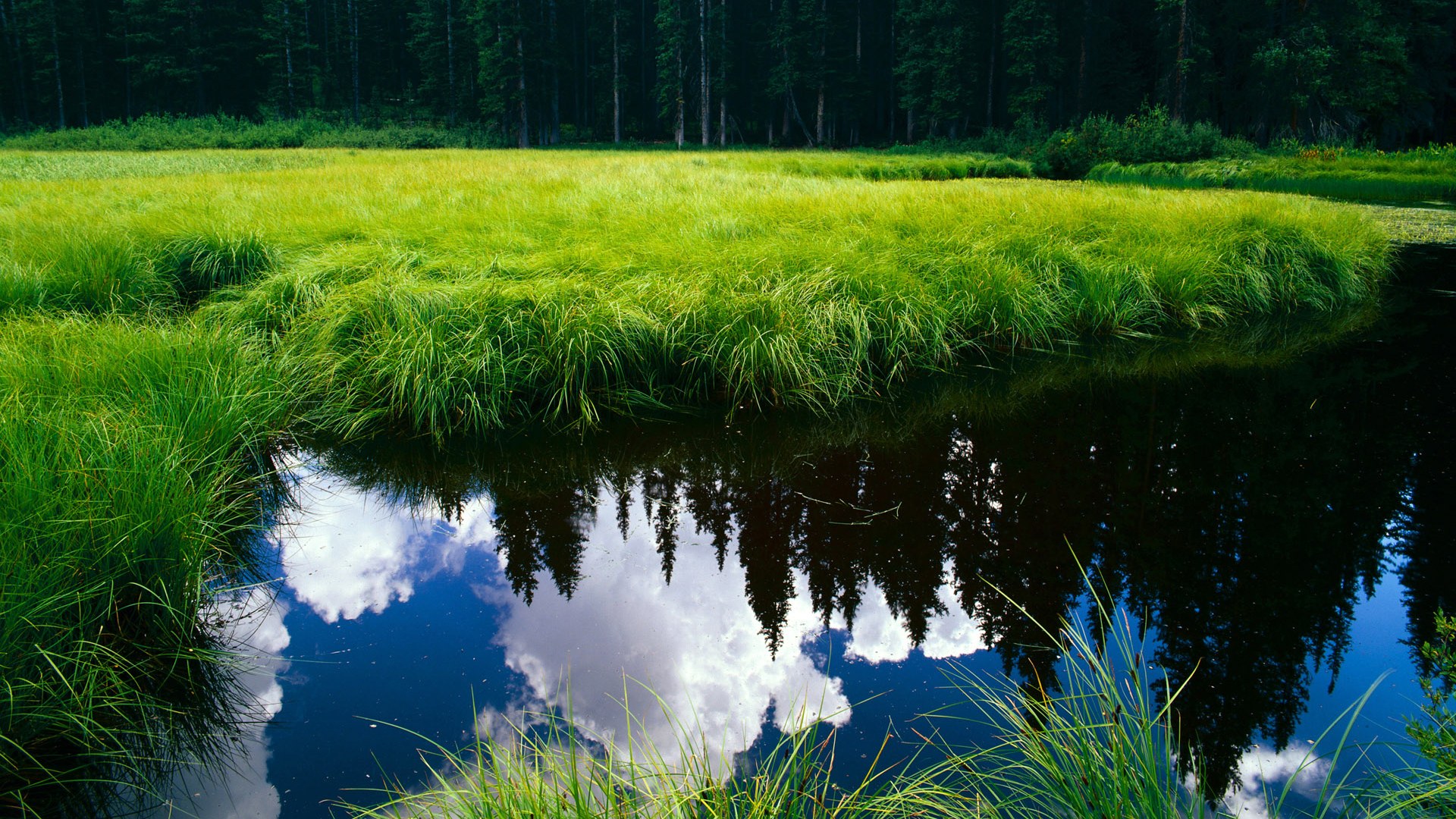 哈登方向盘后的跨界绝杀,从NBA助攻王到F1弯道的主宰者