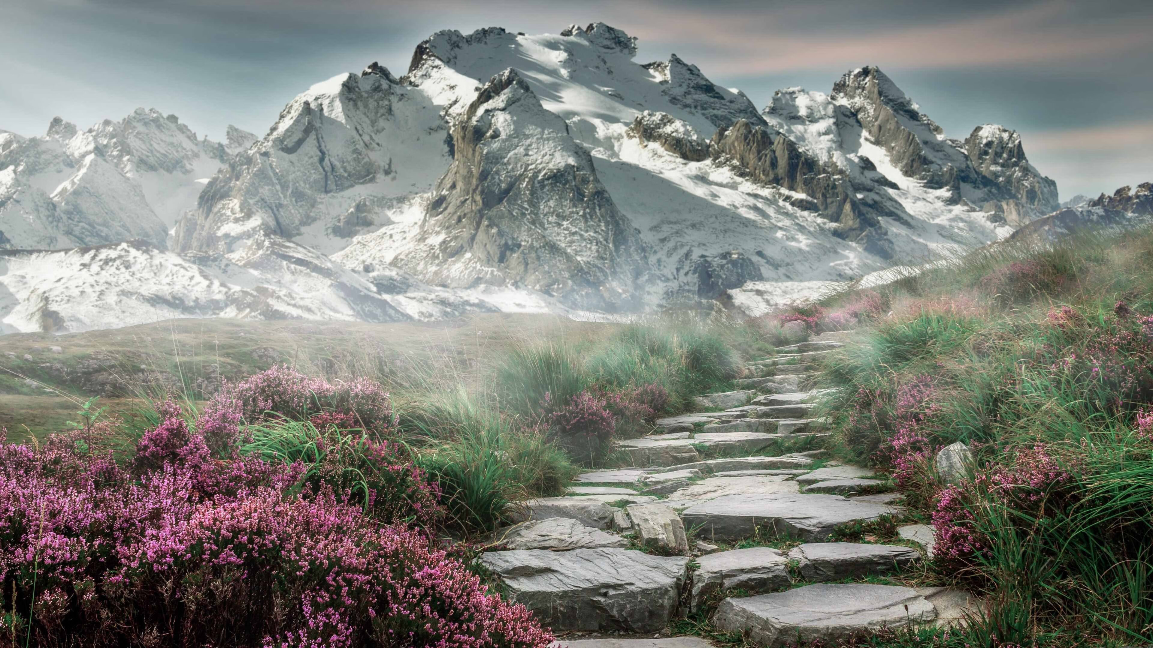 极速启航，F1揭幕战式绿茵对决，苏格兰末节超车葡萄牙