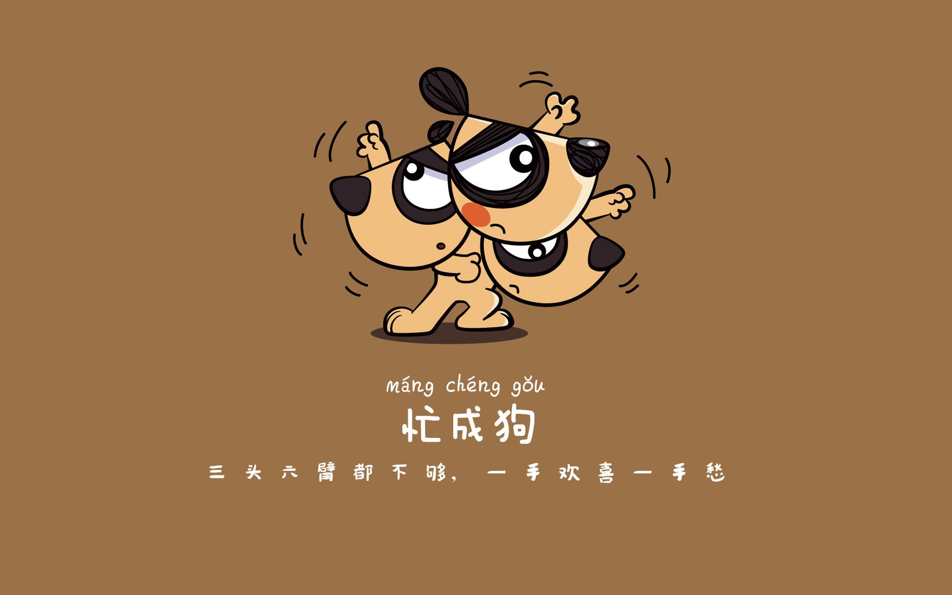 风暴之巅,2026世界杯B组,厄瓜多尔横扫喀麦隆,范戴克以一己之力定义唯一