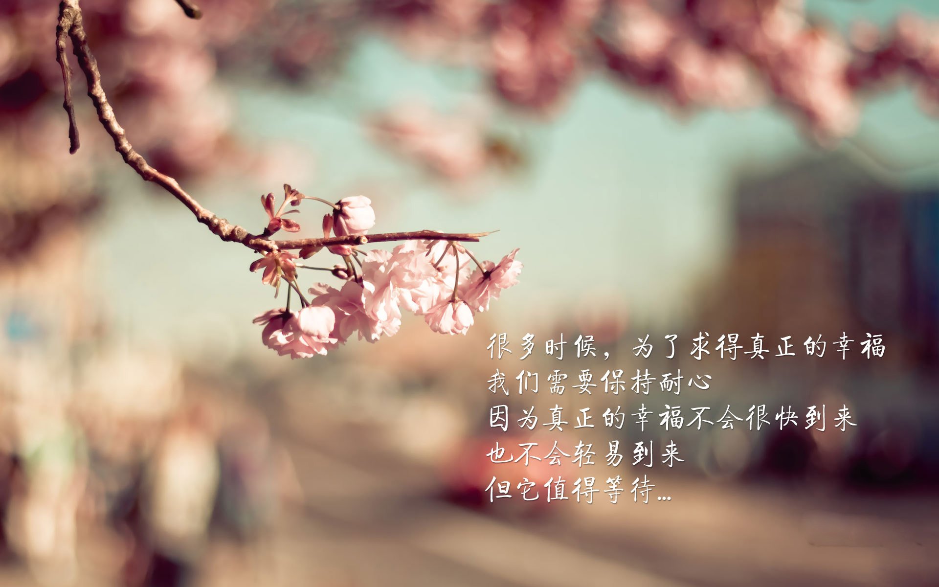 光影交错，2026世界杯A组焦点战，德布劳内挥洒中场魔法，罗马尼亚锋芒毕露，绝杀哥伦比亚