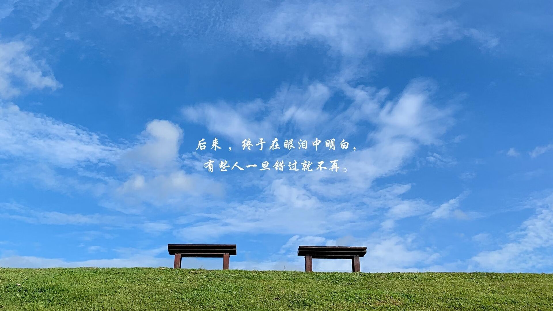 生死战寒夜，2026世界杯D组，厄瓜多尔险胜罗马尼亚，孙兴慜独木难支却闪耀全场